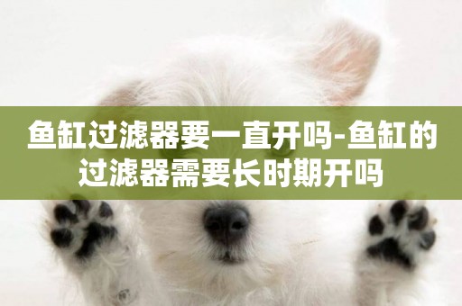 魚缸過濾器要一直開嗎-魚缸的過濾器需要長時期開嗎