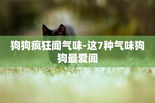 狗狗瘋狂聞氣味-這7種氣味狗狗最愛聞