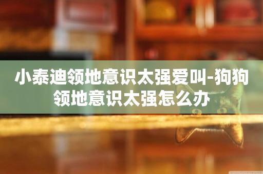小泰迪領地意識太強愛叫-狗狗領地意識太強怎么辦