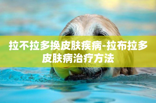 拉不拉多換皮膚疾病-拉布拉多皮膚病治療方法