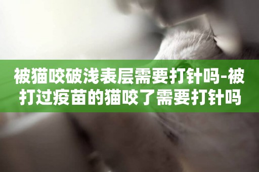 被貓咬破淺表層需要打針嗎-被打過疫苗的貓咬了需要打針嗎