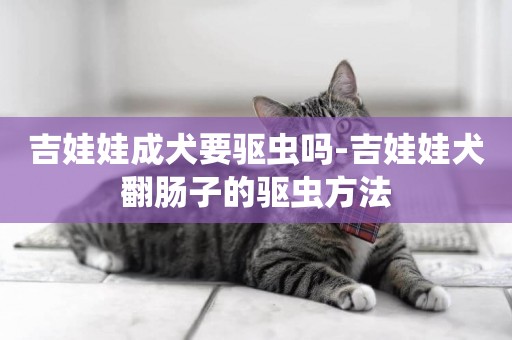 吉娃娃成犬要驅蟲嗎-吉娃娃犬翻腸子的驅蟲方法