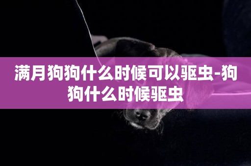 滿月狗狗什么時候可以驅蟲-狗狗什么時候驅蟲