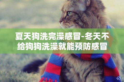 夏天狗洗完澡感冒-冬天不給狗狗洗澡就能預防感冒