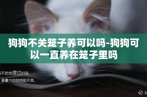 狗狗不關籠子養可以嗎-狗狗可以一直養在籠子里嗎