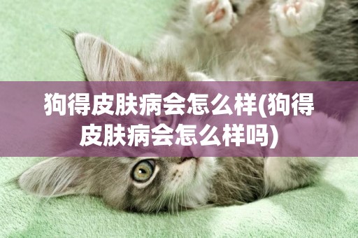 狗得皮膚病會怎么樣(狗得皮膚病會怎么樣嗎)