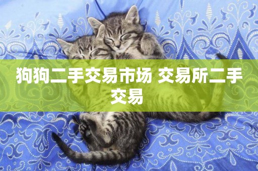 狗狗二手交易市場 交易所二手交易 