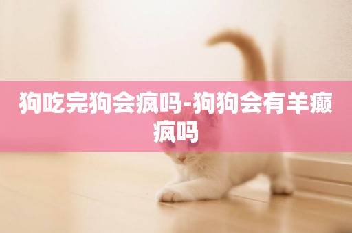 狗吃完狗會瘋嗎-狗狗會有羊癲瘋嗎