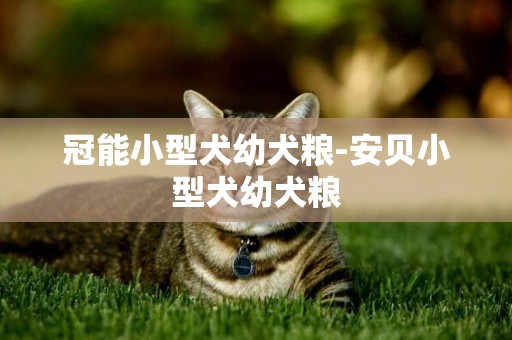 冠能小型犬幼犬糧-安貝小型犬幼犬糧