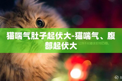 貓喘氣肚子起伏大-貓喘氣、腹部起伏大