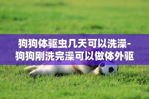 狗狗體驅蟲幾天可以洗澡-狗狗剛洗完澡可以做體外驅蟲嗎