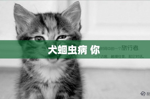 犬蛔蟲病 你 