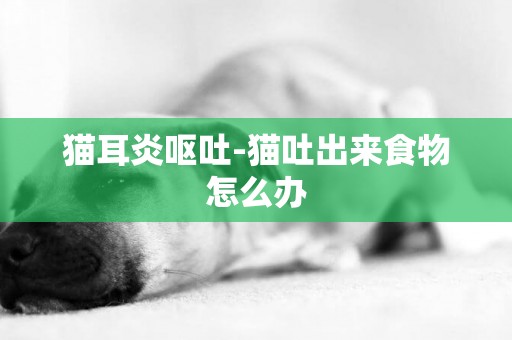 貓耳炎嘔吐-貓吐出來食物怎么辦