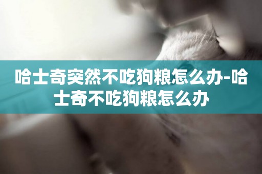 哈士奇突然不吃狗糧怎么辦-哈士奇不吃狗糧怎么辦