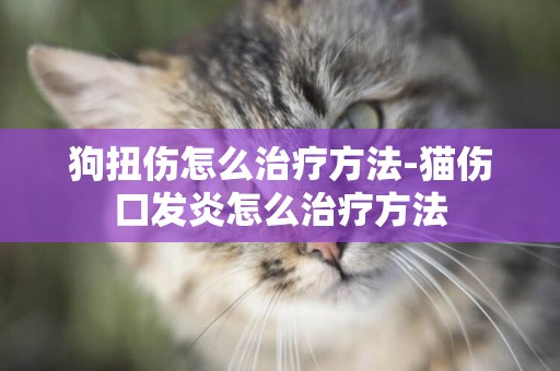 狗扭傷怎么治療方法-貓傷口發炎怎么治療方法