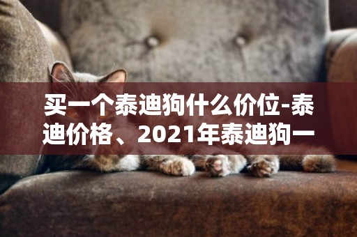 買一個泰迪狗什么價位-泰迪價格、2021年泰迪狗一般多少錢一只