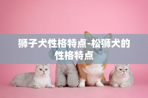 獅子犬性格特點-松獅犬的性格特點