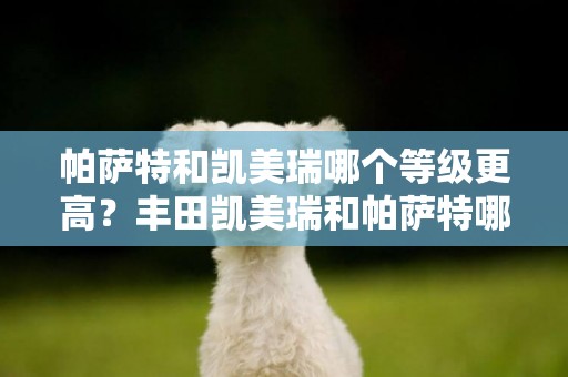 帕薩特和凱美瑞哪個等級更高？豐田凱美瑞和帕薩特哪個更好，我應該如何選擇？ 