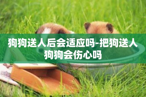 狗狗送人后會適應嗎-把狗送人狗狗會傷心嗎