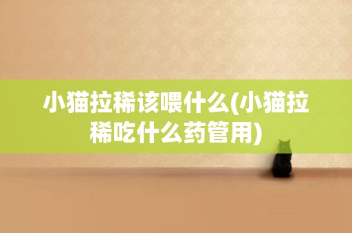 小貓拉稀該喂什么(小貓拉稀吃什么藥管用)