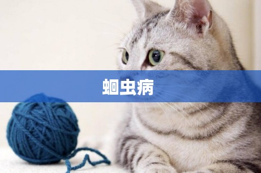 蛔蟲病 
