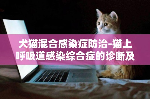 犬貓混合感染癥防治-貓上呼吸道感染綜合癥的診斷及防治