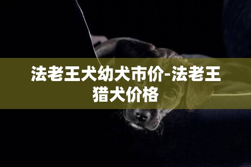 法老王犬幼犬市價-法老王獵犬價格