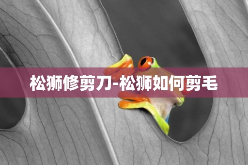 松獅修剪刀-松獅如何剪毛