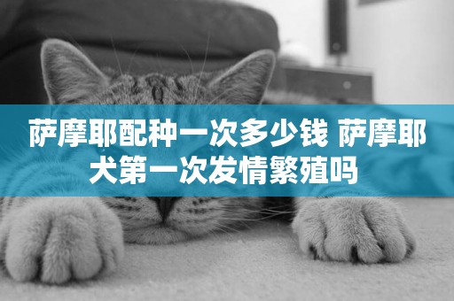 薩摩耶配種一次多少錢 薩摩耶犬第一次發情繁殖嗎 