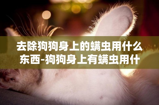 去除狗狗身上的螨蟲用什么東西-狗狗身上有螨蟲用什么藥