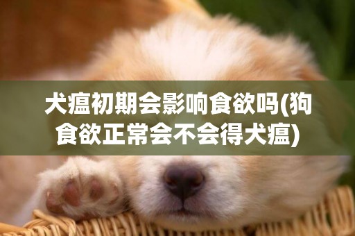 犬瘟初期會影響食欲嗎(狗食欲正常會不會得犬瘟)