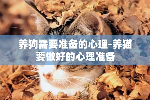 養狗需要準備的心理-養貓要做好的心理準備