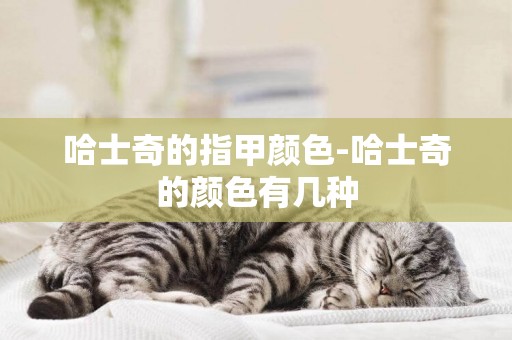 哈士奇的指甲顏色-哈士奇的顏色有幾種
