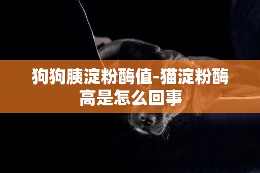 狗狗胰淀粉酶值-貓淀粉酶高是怎么回事