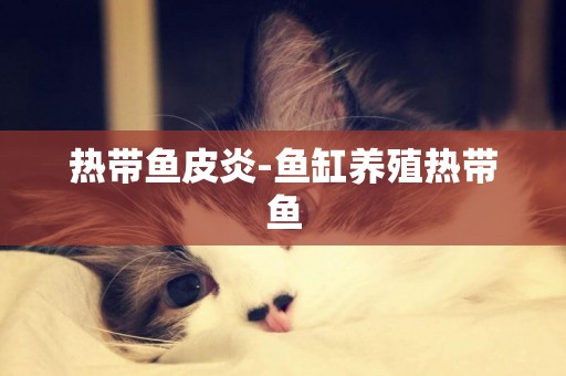 熱帶魚皮炎-魚缸養殖熱帶魚