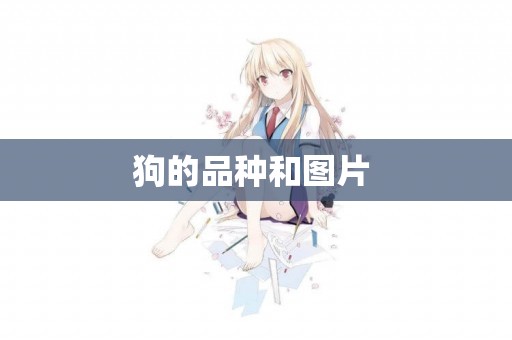 狗的品種和圖片 