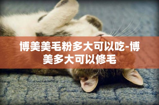 博美美毛粉多大可以吃-博美多大可以修毛