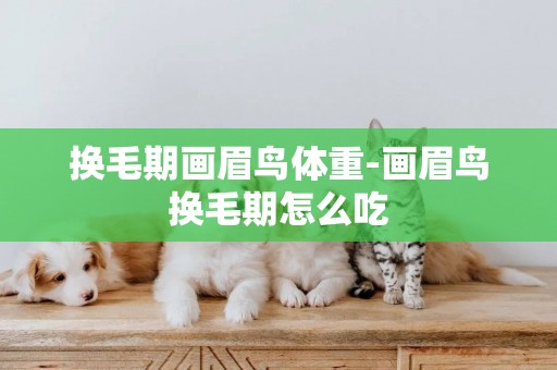 換毛期畫眉鳥體重-畫眉鳥換毛期怎么吃