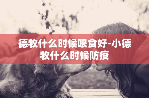 德牧什么時候喂食好-小德牧什么時候防疫