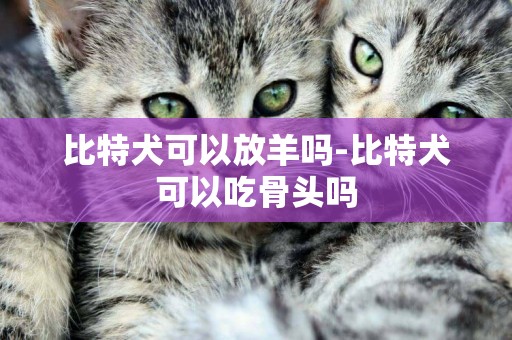 比特犬可以放羊嗎-比特犬可以吃骨頭嗎