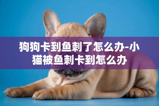 狗狗卡到魚刺了怎么辦-小貓被魚刺卡到怎么辦