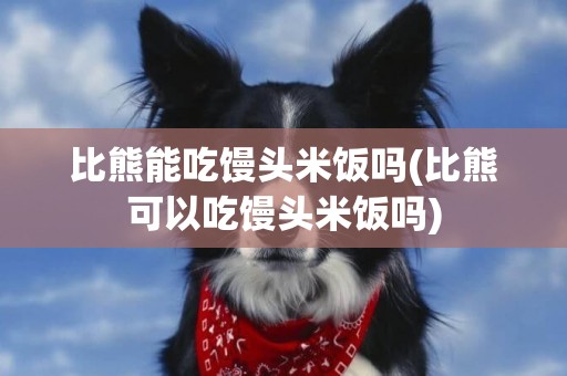 比熊能吃饅頭米飯嗎(比熊可以吃饅頭米飯嗎)