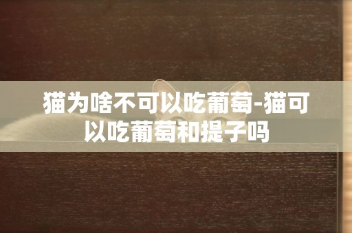 貓為啥不可以吃葡萄-貓可以吃葡萄和提子嗎