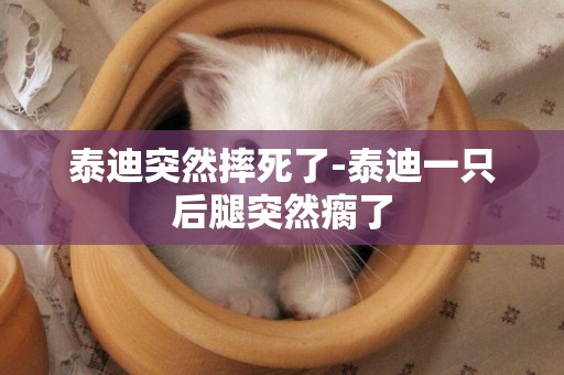 泰迪突然摔死了-泰迪一只后腿突然瘸了