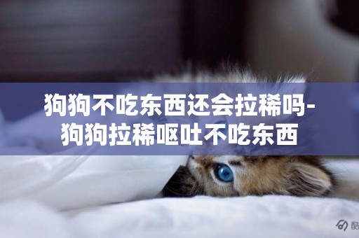 狗狗不吃東西還會拉稀嗎-狗狗拉稀嘔吐不吃東西
