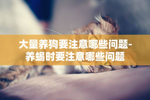 大量養狗要注意哪些問題-養蝎時要注意哪些問題