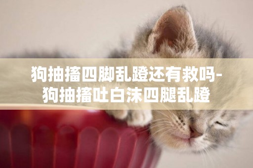 狗抽搐四腳亂蹬還有救嗎-狗抽搐吐白沫四腿亂蹬