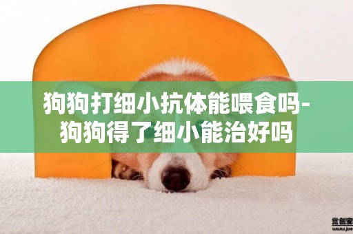 狗狗打細小抗體能喂食嗎-狗狗得了細小能治好嗎