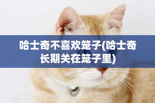哈士奇不喜歡籠子(哈士奇長期關在籠子里)