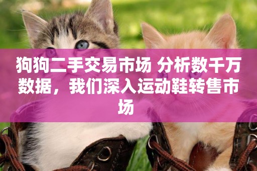 狗狗二手交易市場 分析數千萬數據，我們深入運動鞋轉售市場 